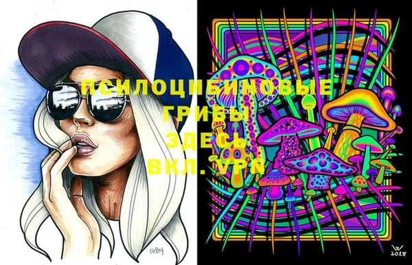 тгк Абдулино