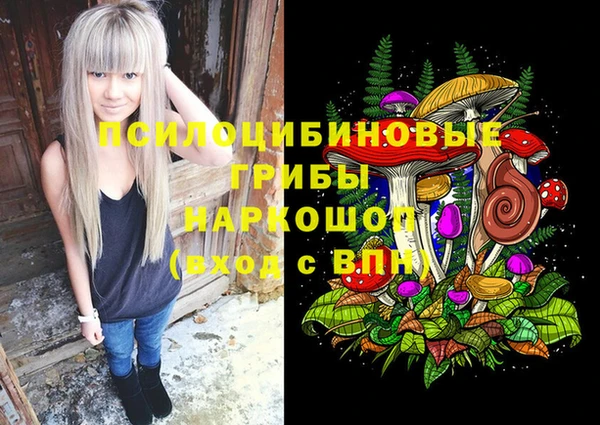тгк Абдулино