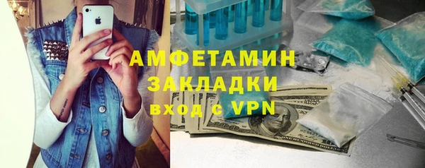 шишки Заполярный
