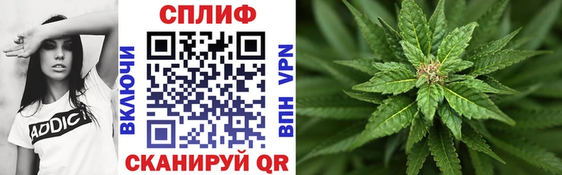 продажа наркотиков  Абдулино  Канабис план 